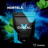 ERVA MATE HORTELA ICE